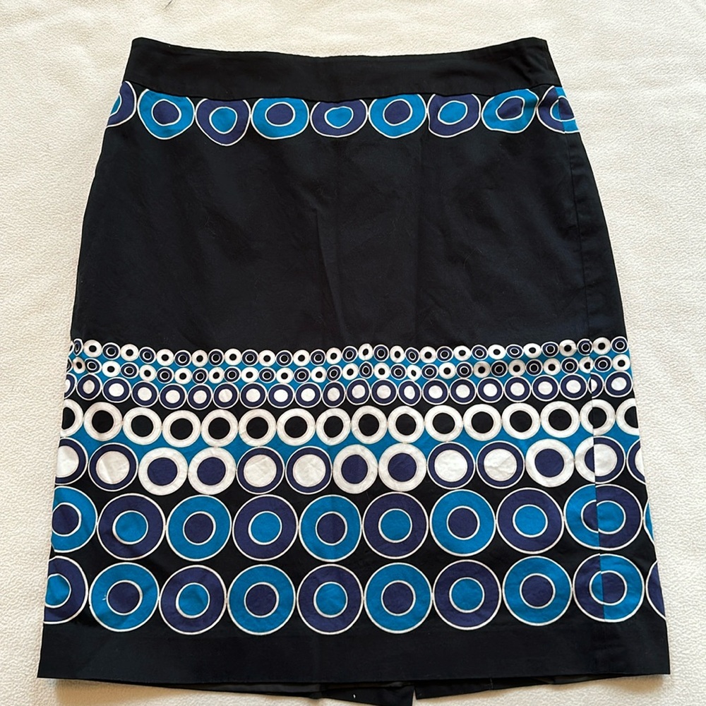 Ann Taylor Skirt 8